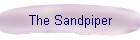 The Sandpiper