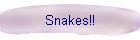 Snakes!!